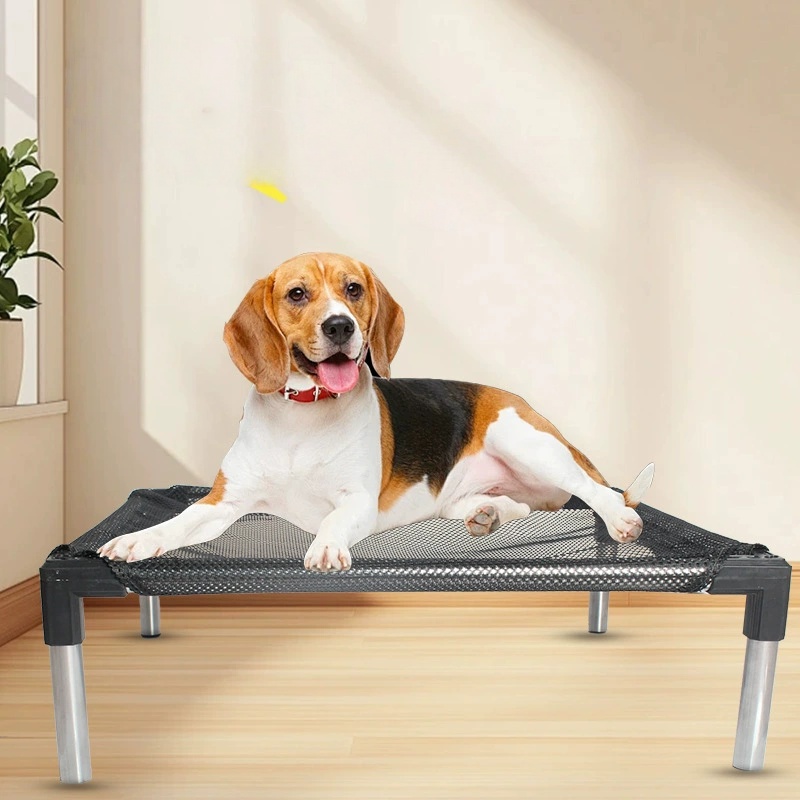 Soğutma Yükseltilmiş Köpek Yat - Outdoor Daybed Sofa incelemesi ve fiyatı